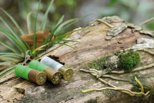 Egalité réelle : un permis de chasser en Guyane pour mieux contrôler la circulation d’armes à feu