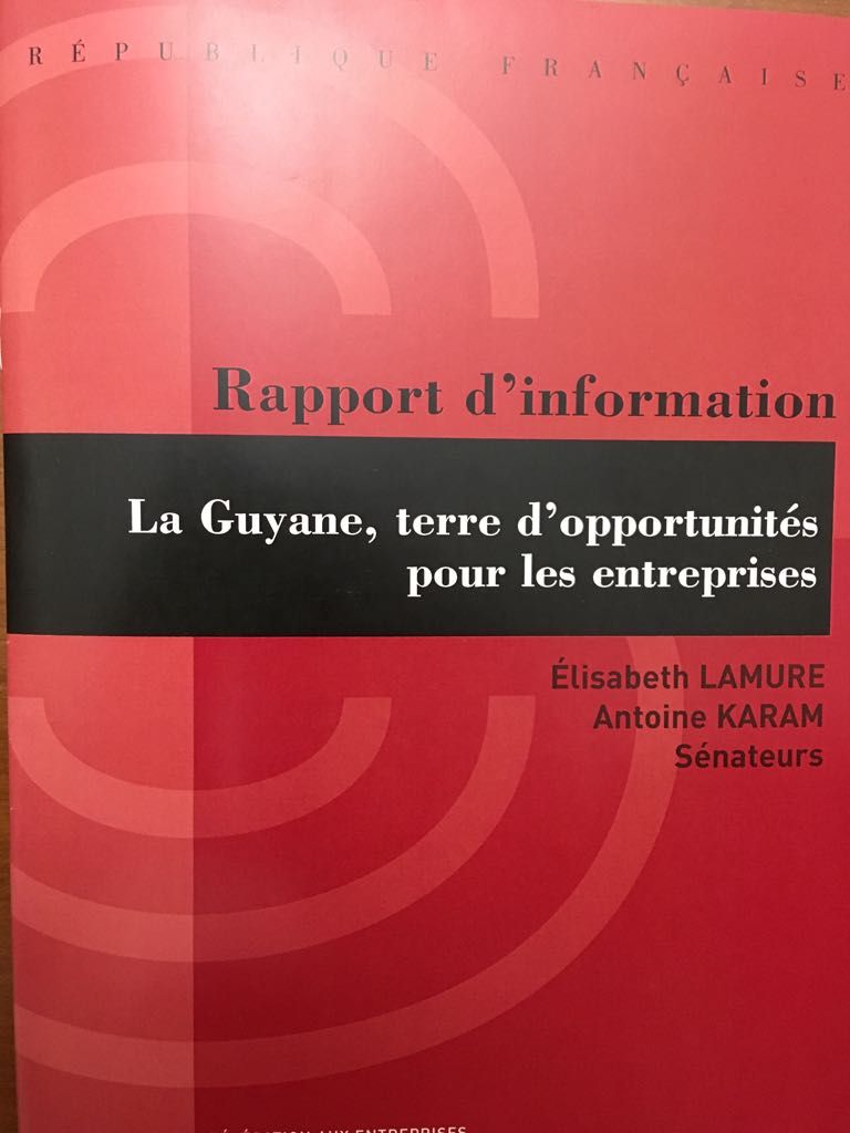 Publication du rapport ” La Guyane, terre d’opportunités pour les entreprises”